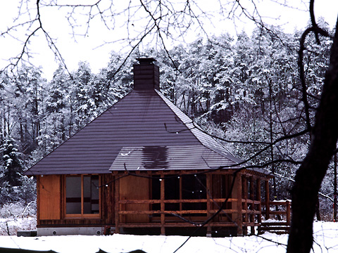 �X�т̉�T�^�C�v